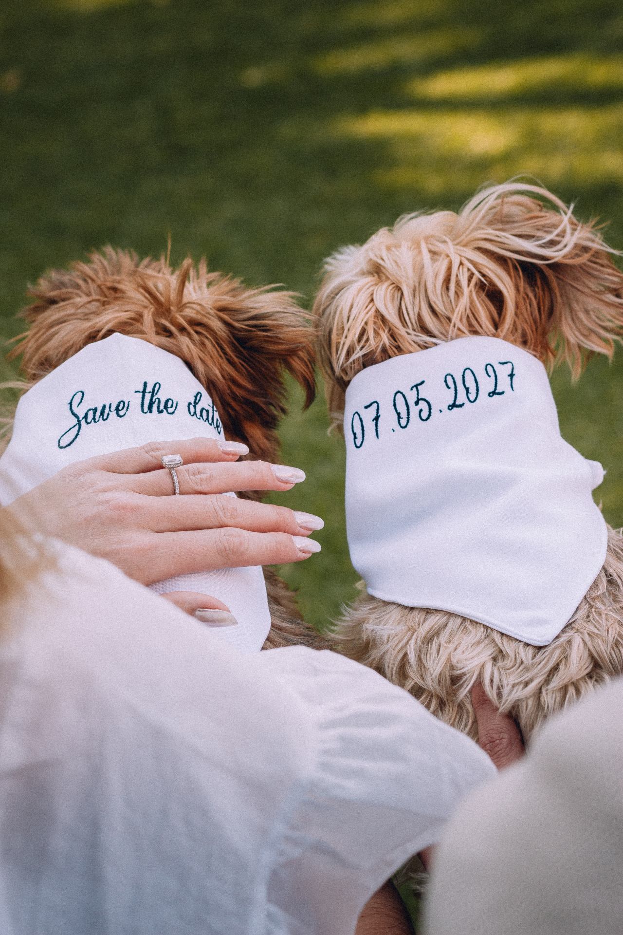 Cailin and Alan save the date
